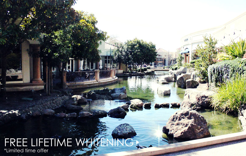 Free Lifetime Whitening at Blackhawk Plaza Dental