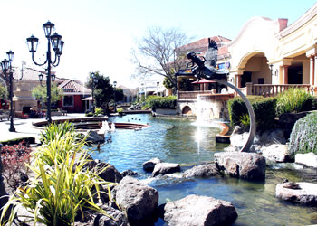 Blackhawk Plaza Shopping Center